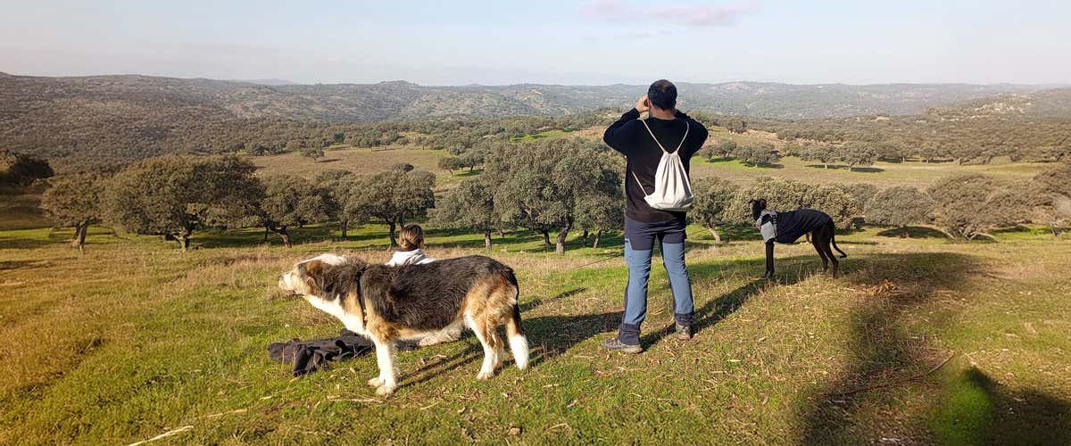 Senderismo guiado en el Parque Natural Sierra de Andújar