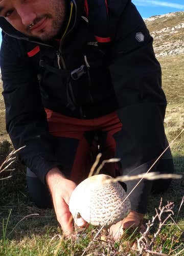 Taller de supervivencia de 5 horas en Chulilla