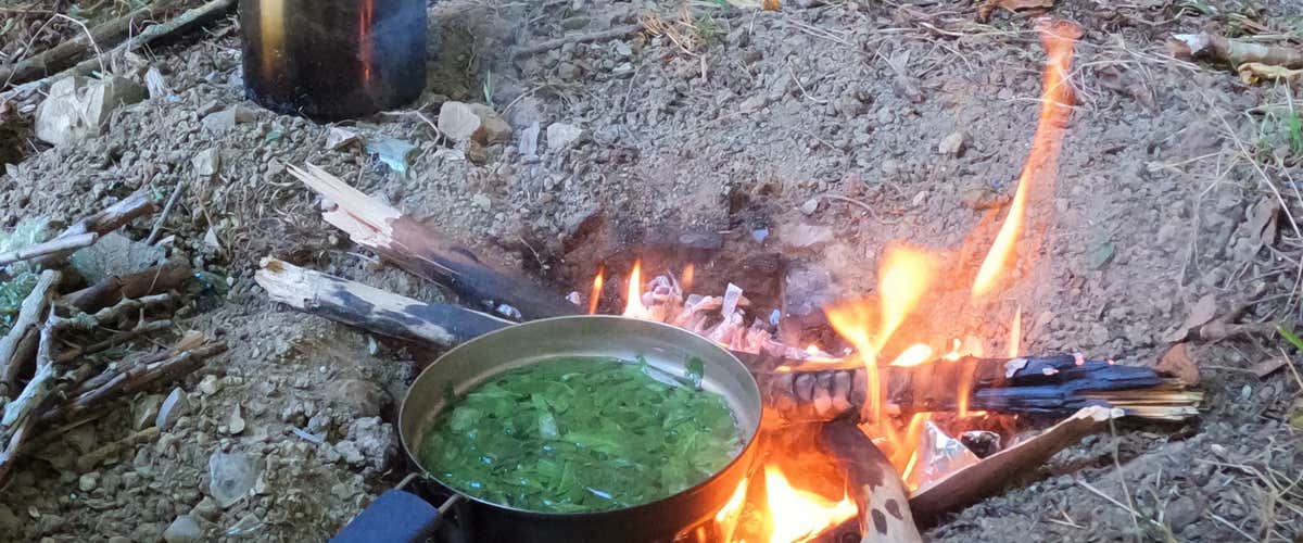 Taller de supervivencia de 5 horas en Chulilla