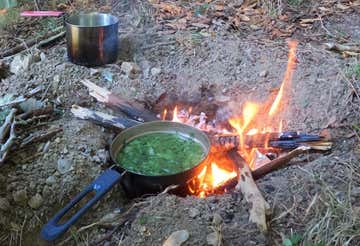 Taller de supervivencia de 5 horas en Chulilla