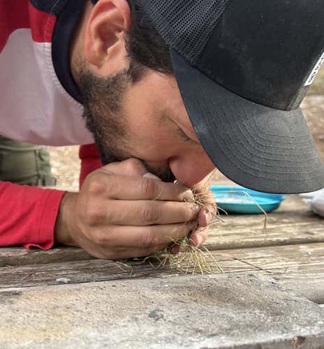 Taller de supervivencia de 5 horas en Chulilla