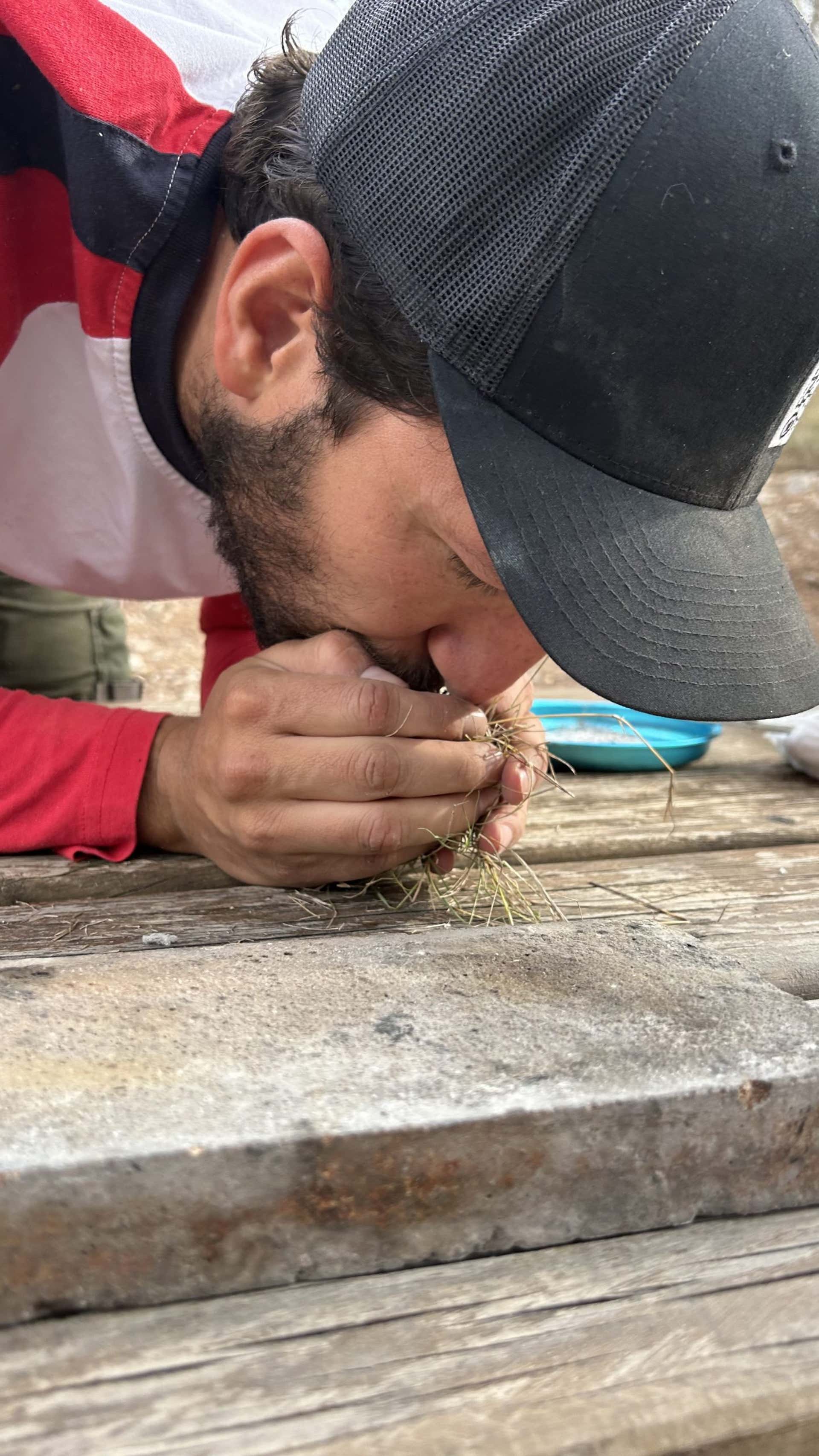 Curso de supervivencia Valencia