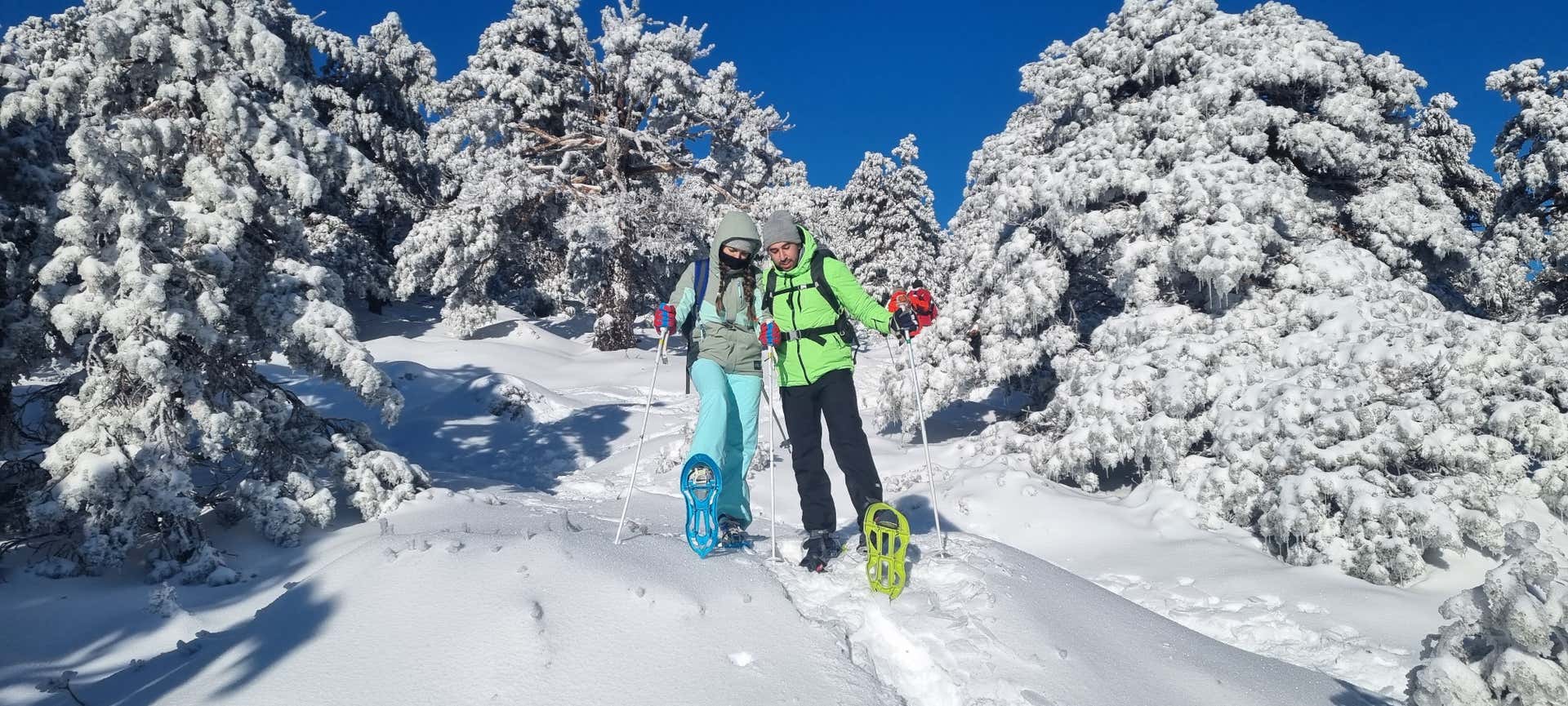 Snowshoeing Granada