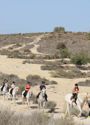 Paseo a caballo en el lago de la Pedrera cerca de Torrevieja