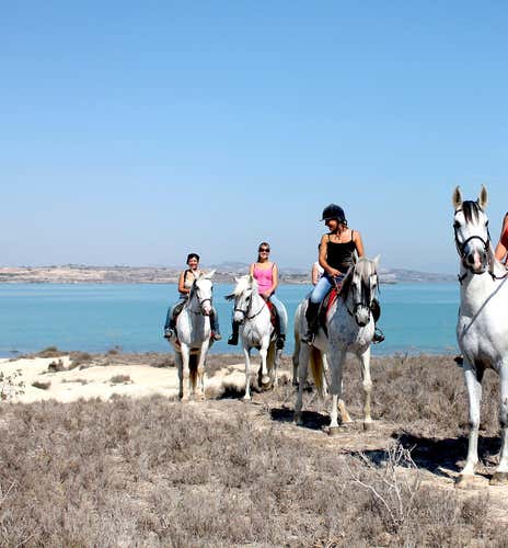 Paseo a caballo en el lago de la Pedrera cerca de Torrevieja