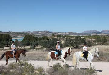 Paseo a caballo en el lago de la Pedrera cerca de Torrevieja