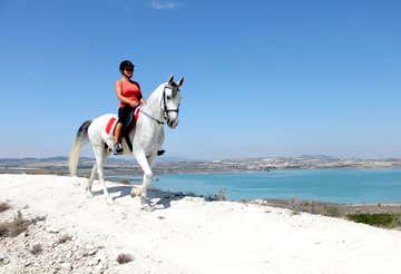 Paseo a caballo en el lago de la Pedrera cerca de Torrevieja
