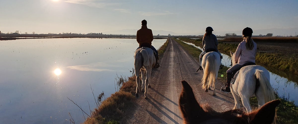 Paseo a caballo por el Delta del Ebro