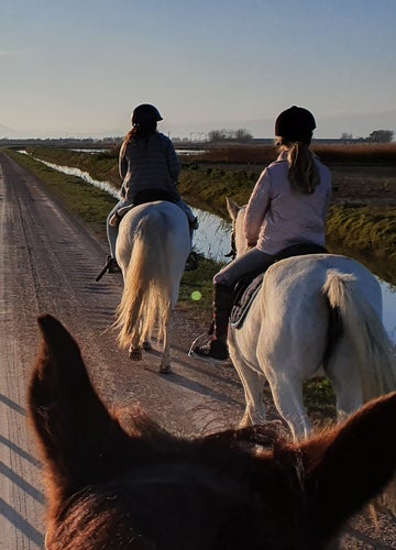 Paseo a caballo por el Delta del Ebro