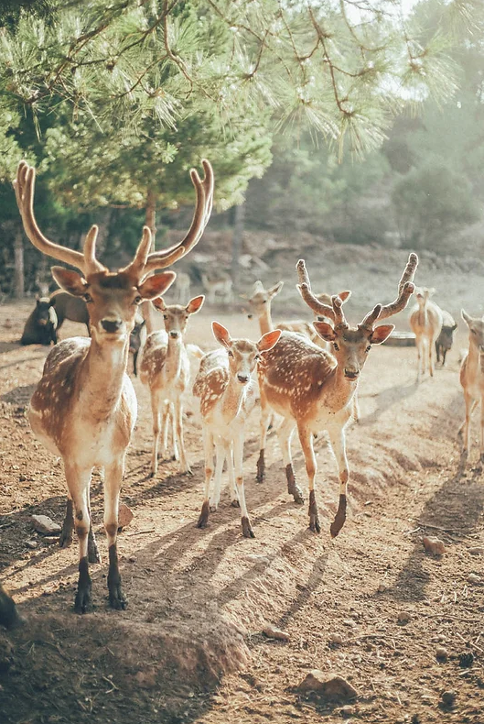Granja escuela Cataluña