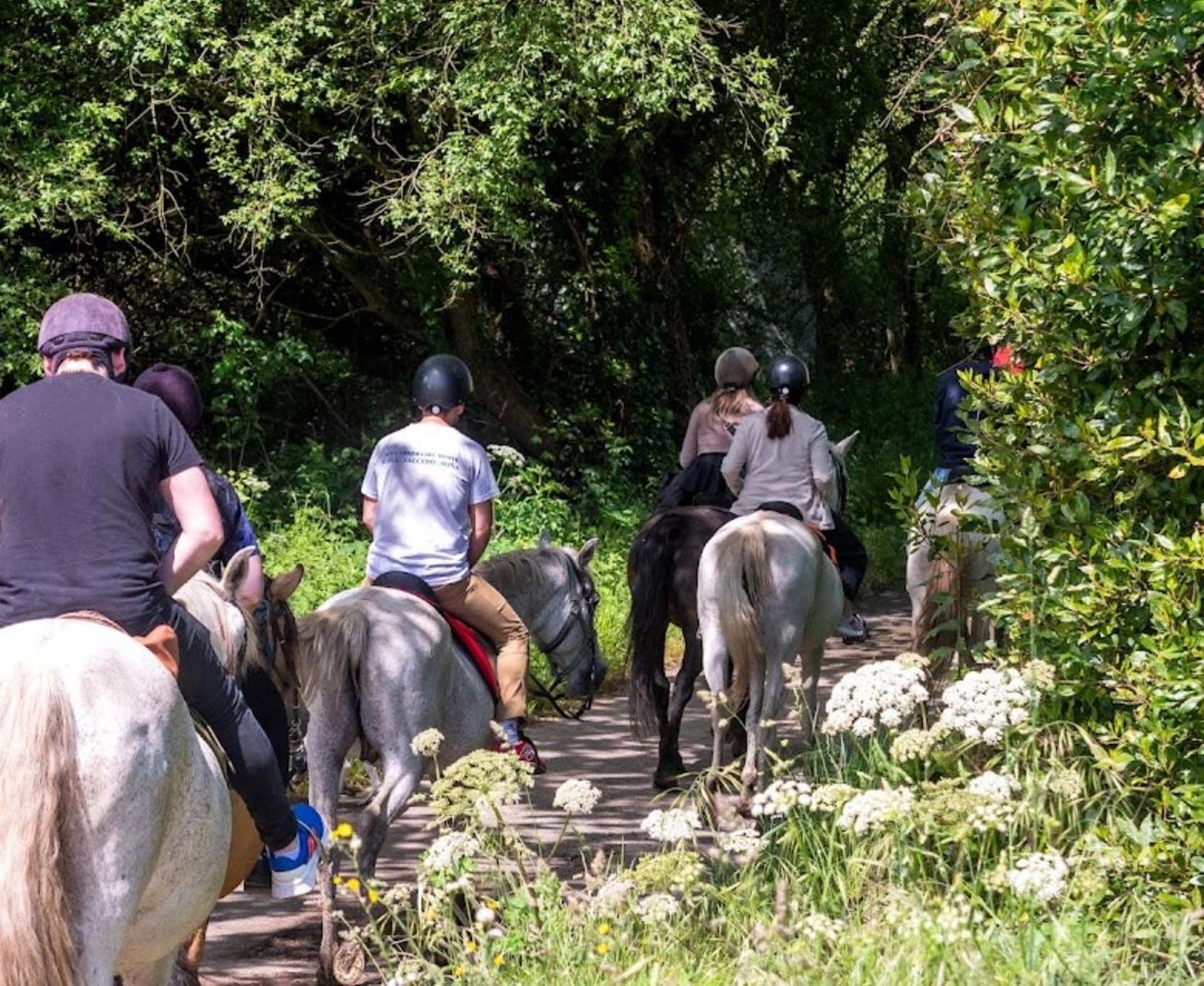 Horse Riding Principado de Asturias
