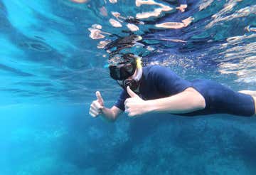 Tour de snorkel en barco en Costa Adeje