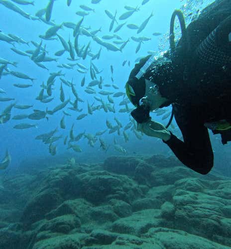 Bautismo de buceo desde barco en Costa Adeje