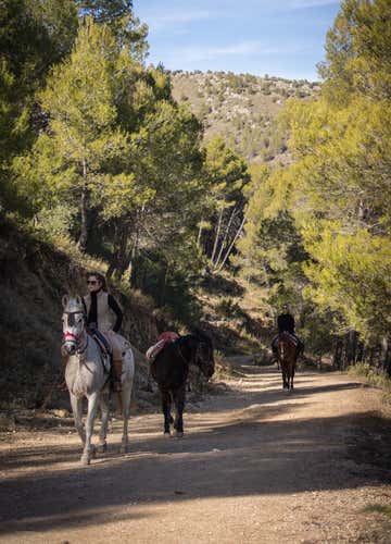 Paseo a caballo y cena para dos en Colomera, Granada