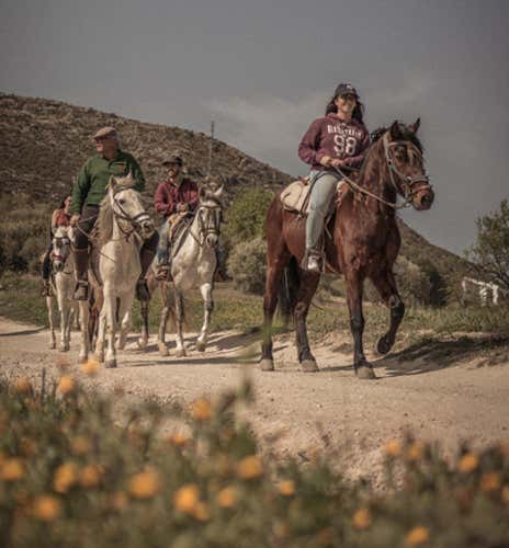 Paseo a caballo y cena para dos en Colomera, Granada
