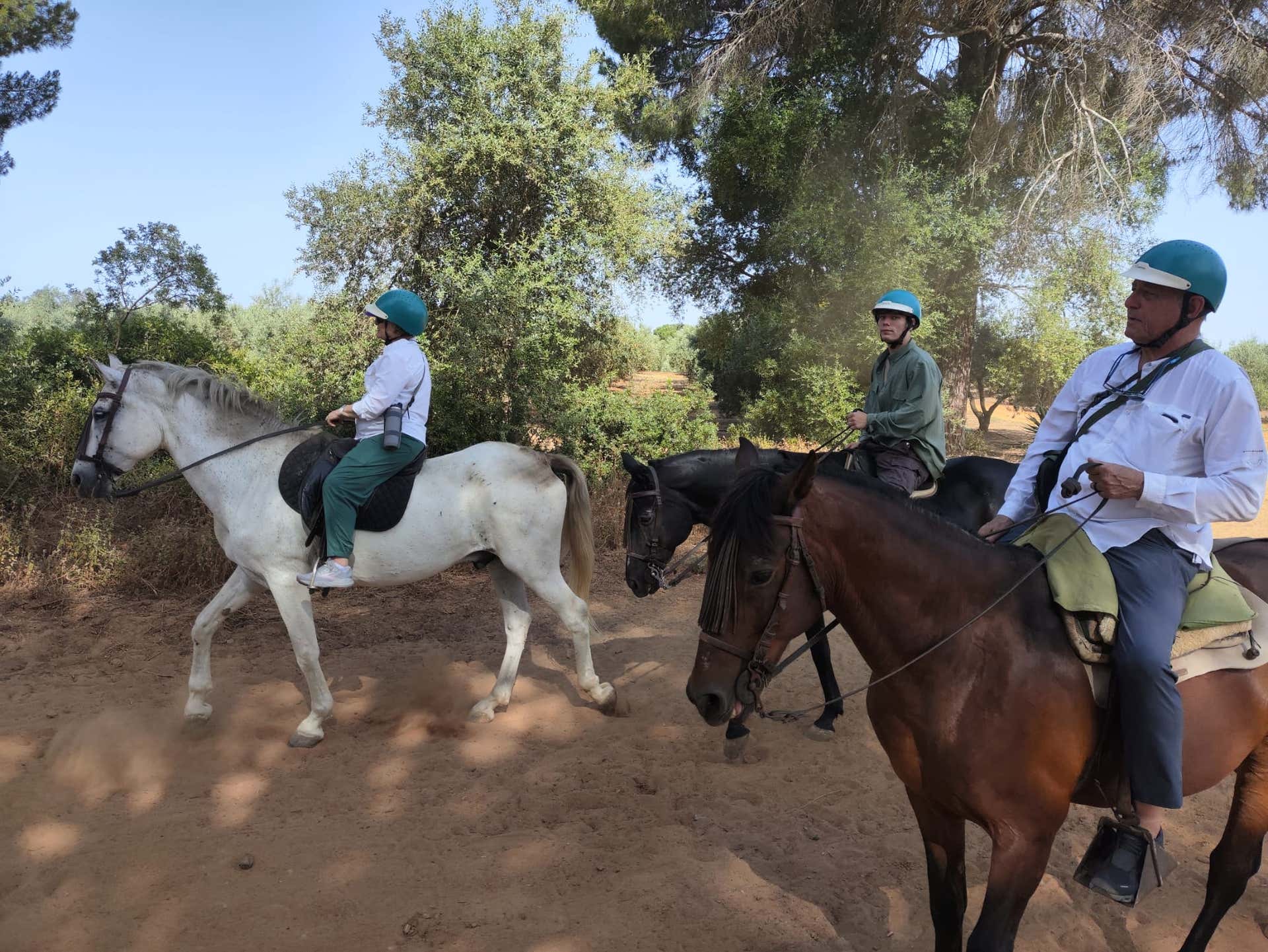 Paseos a caballo Sevilla