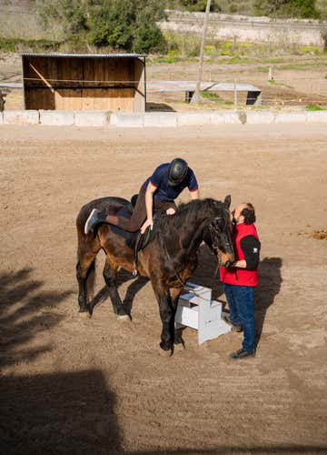 Paseo a caballo por el Valle de Randa en Mallorca