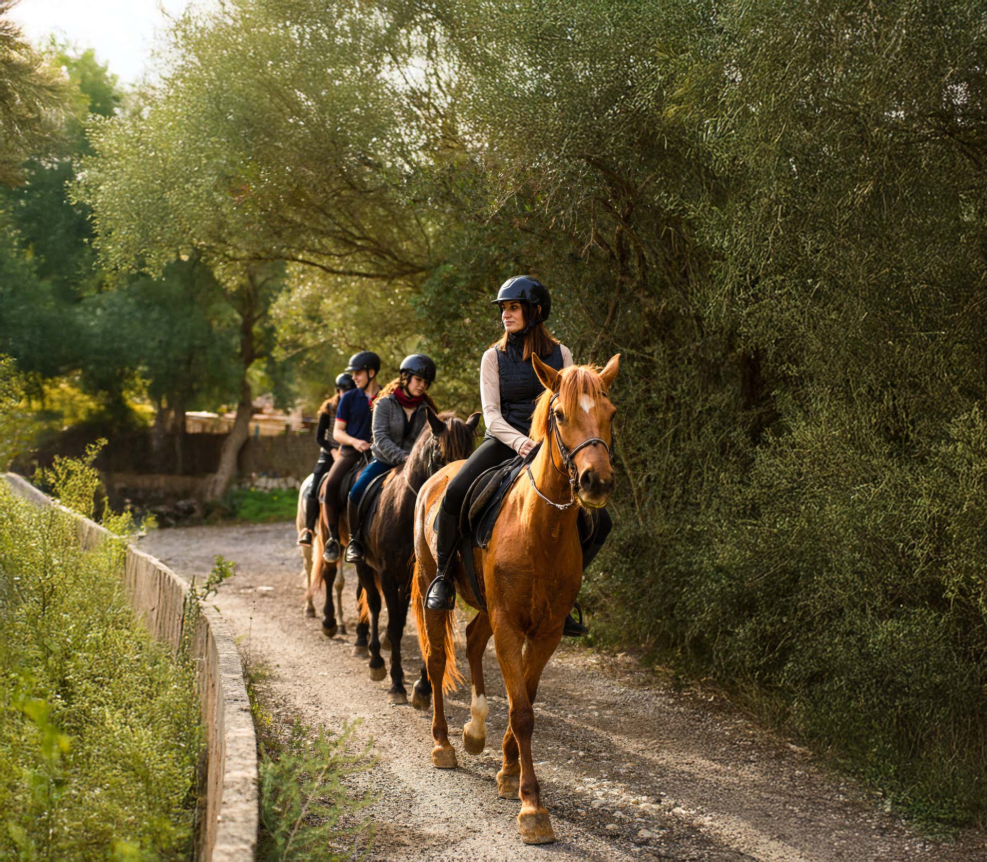 Paseos a caballo Islas Baleares