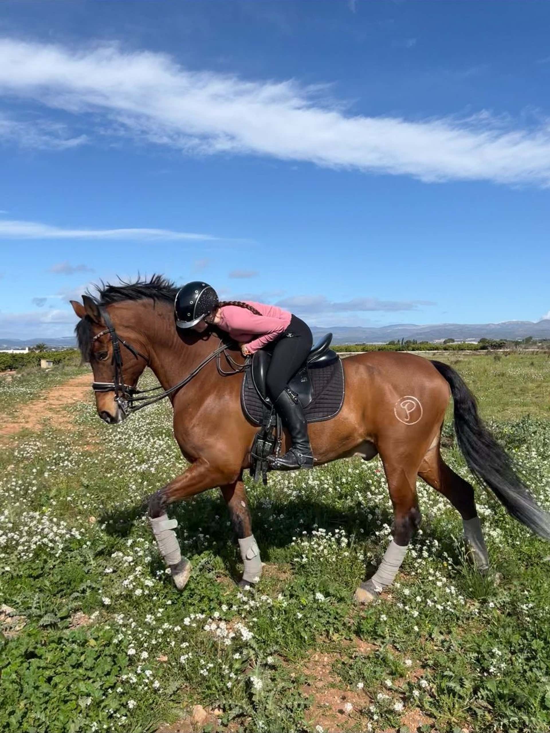 Horse Riding Valencia