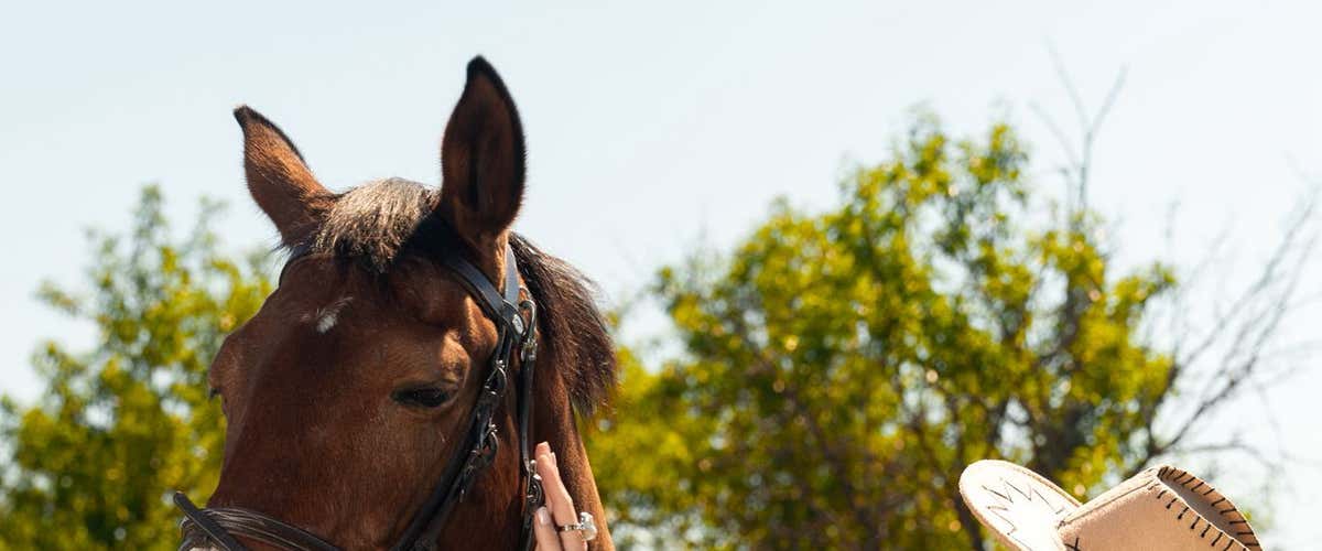 Horseback riding in the countryside of Llíria with lunch