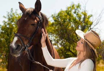 Horseback riding in the countryside of Llíria with lunch
