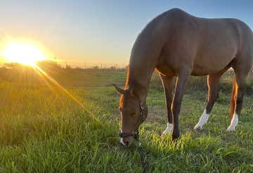 Horseback riding in the countryside of Llíria with lunch