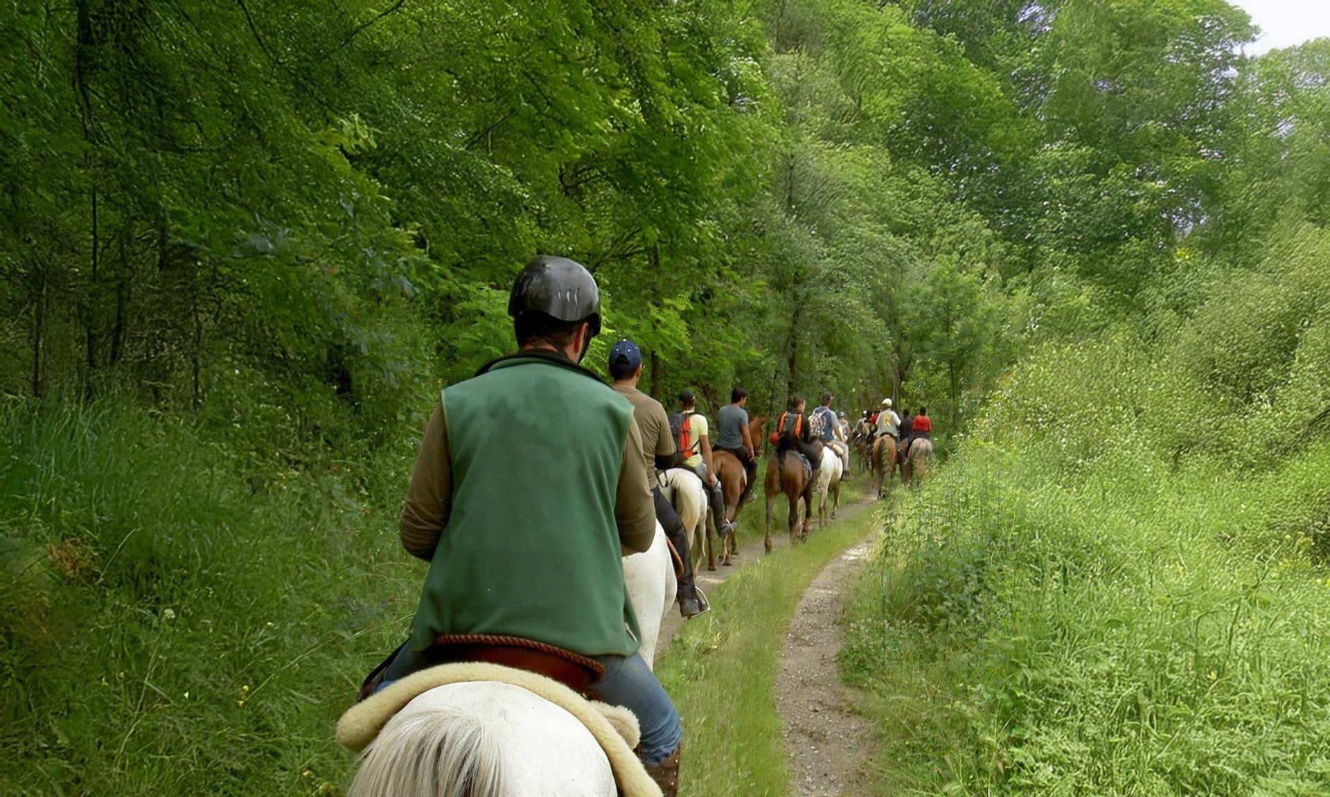 Horse Riding Picos de Europa
