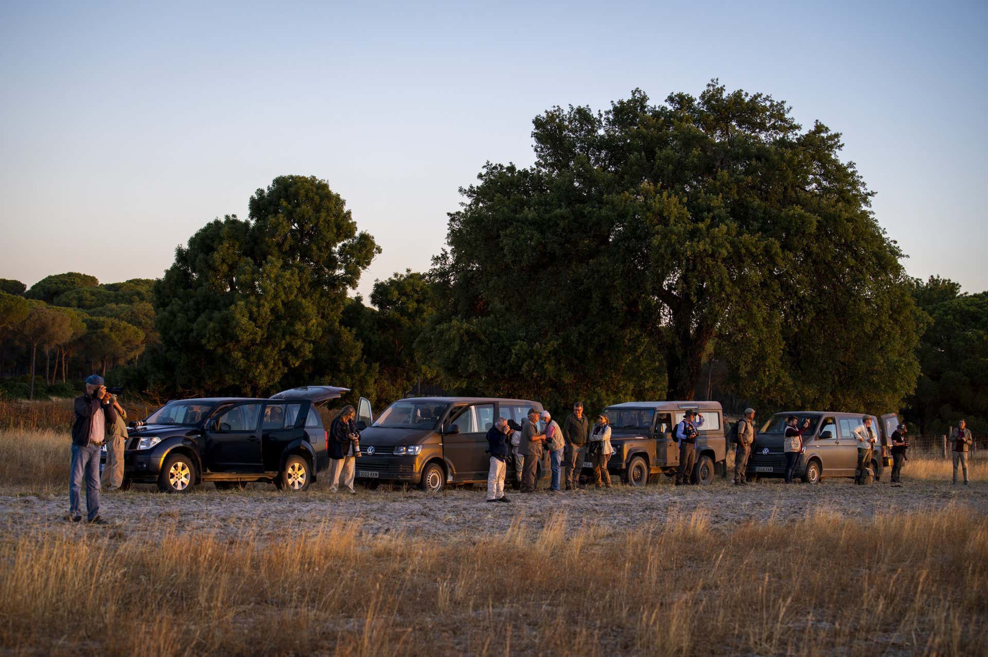 4×4 Tours Doñana