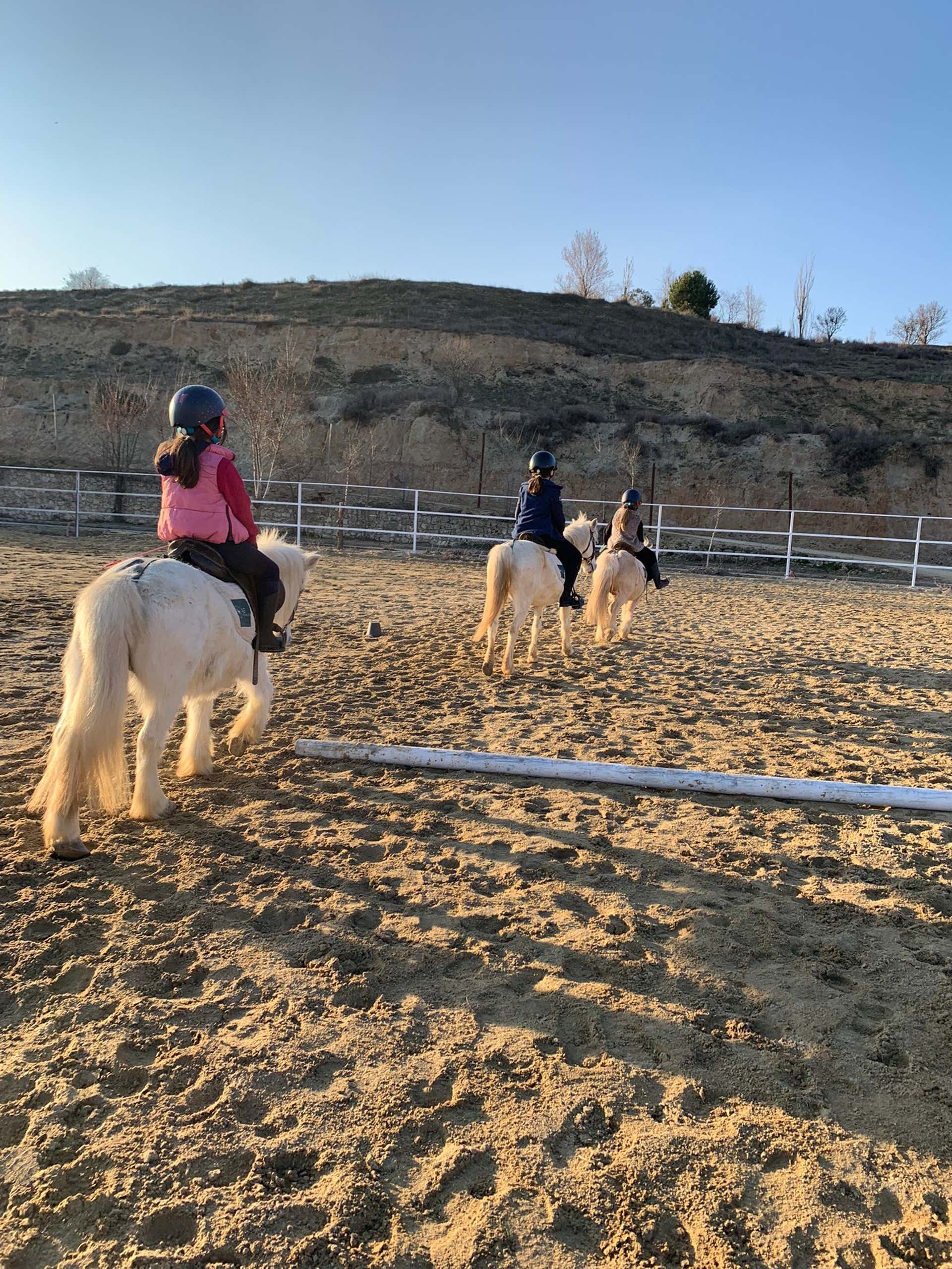 Horse Riding Valladolid