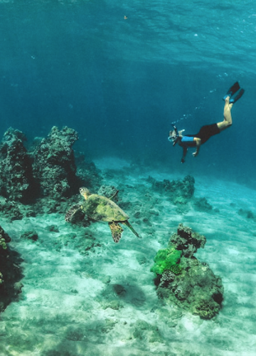 Snorkel en la Playa Chica de Puerto del Carmen en Lanzarote