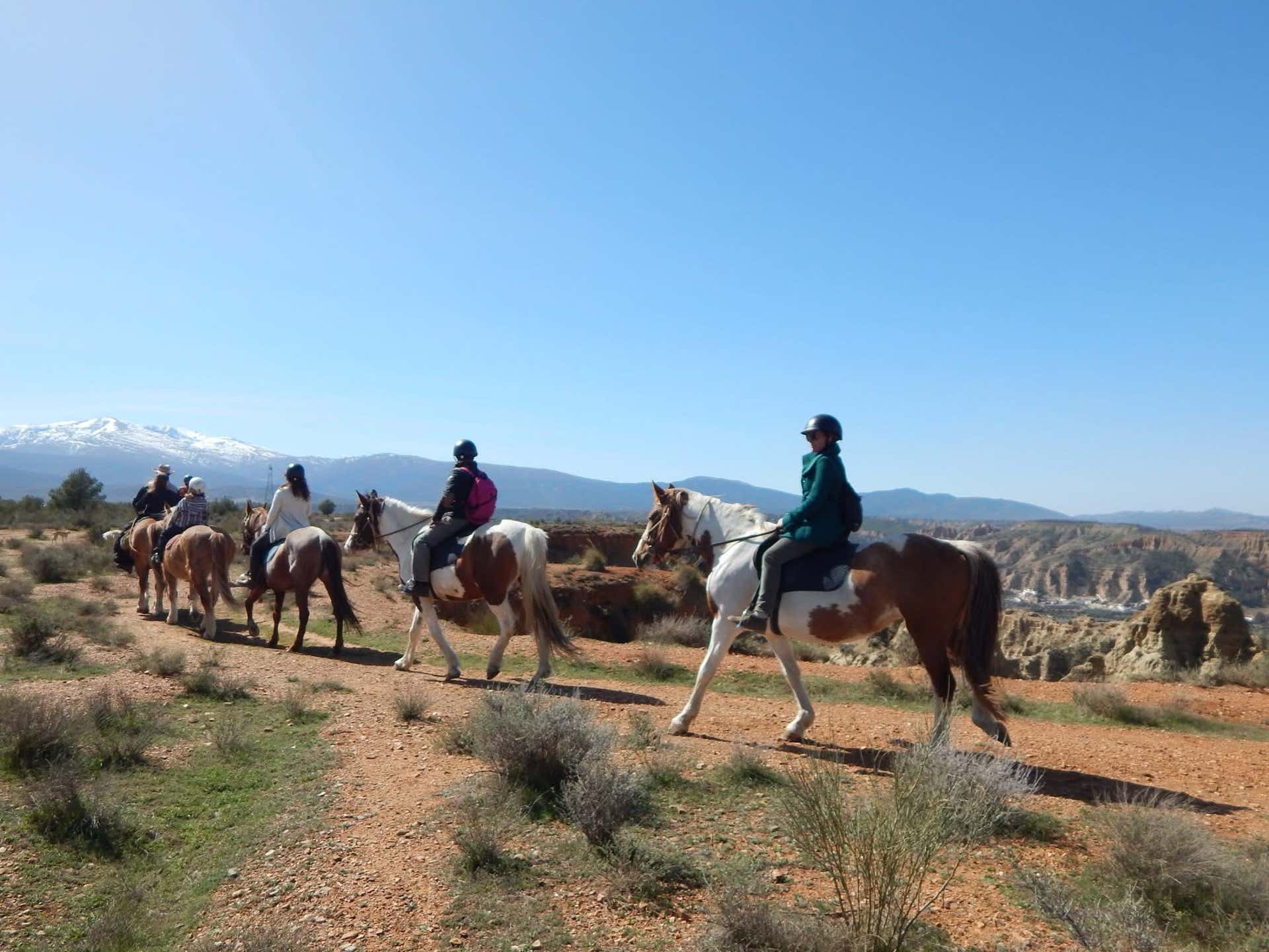 Horse Riding Guadix