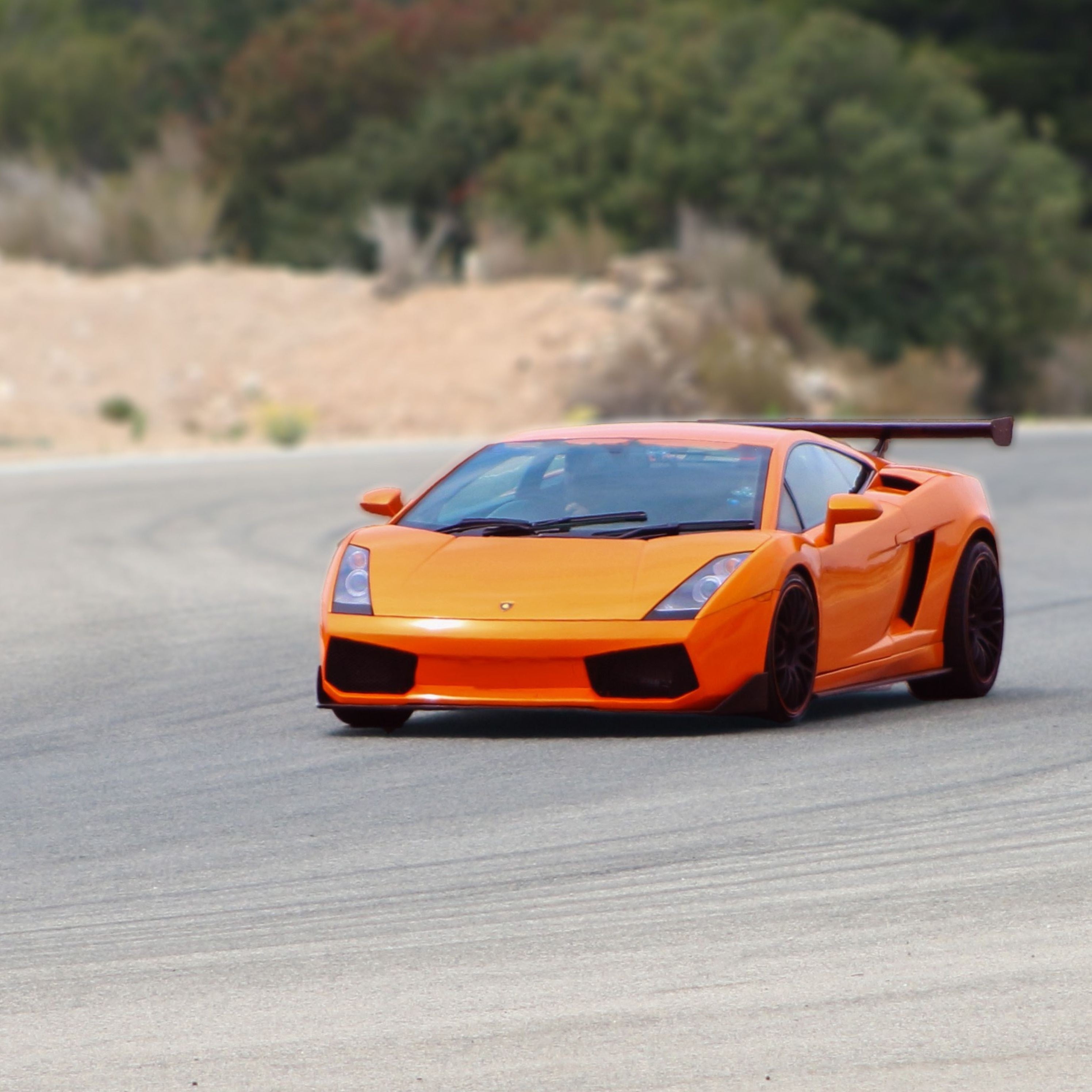 Ruta de 23 km por carretera en Ferrari o Lamborghini en Navarra | Freedome