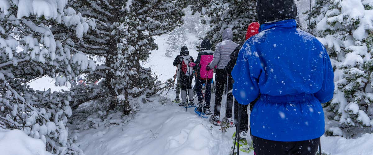 Excursión con raquetas de nieve en Somport en los Pirineos
