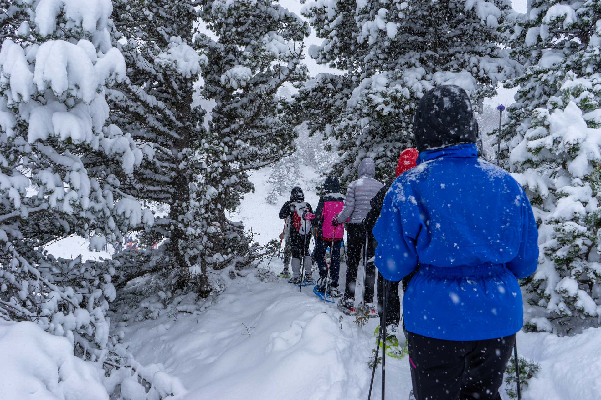 Raquetas de nieve Somport