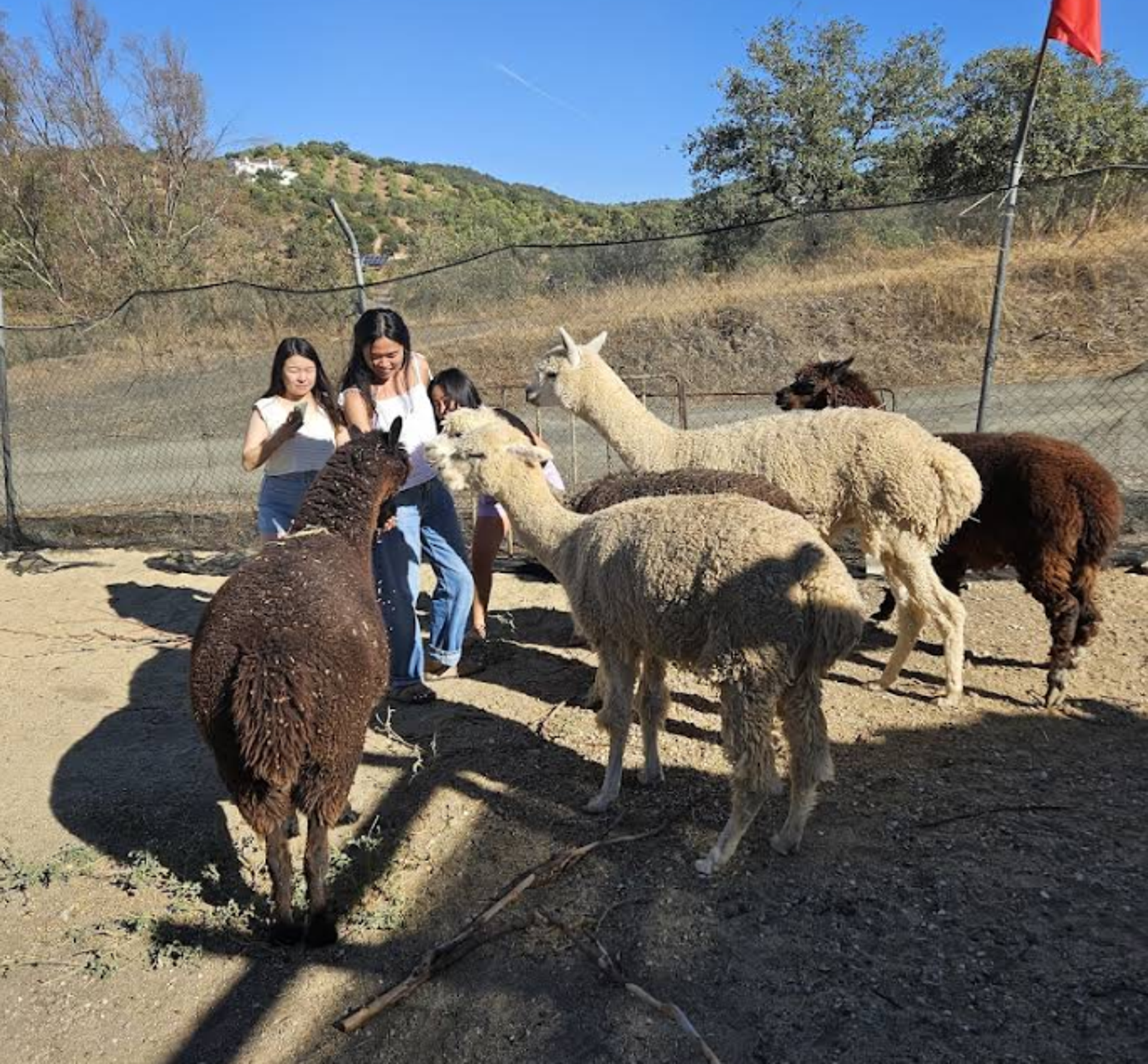 Unusual places to stay Córdoba