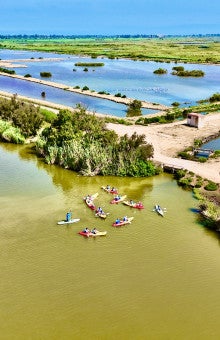 Piragüismo y kayak en Delta del Ebro