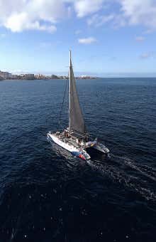 Paseos en barco en Tenerife