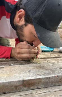 Curso de supervivencia en Valencia