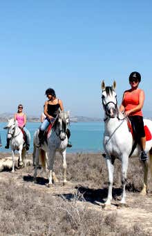 Paseos a caballo en Torrevieja