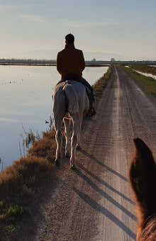 Paseos a caballo en Tarragona