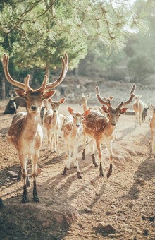 Educational farm in Manresa