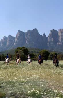 Paseos a caballo en Barcelona
