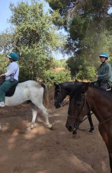Paseos a caballo en Sevilla
