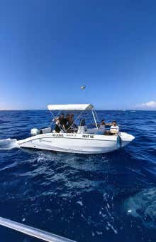 Alquiler de barcos en Tenerife