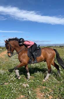 Paseos a caballo en Valencia