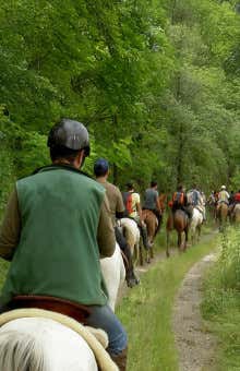 Paseos a caballo en Picos de Europa