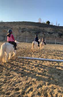 Paseos a caballo en Valladolid