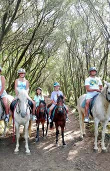 Paseos a caballo en Tenerife