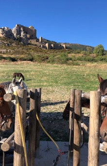 Clases de equitación en Huesca