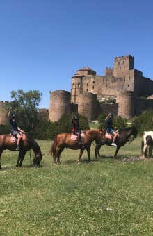 Paseos a caballo en Huesca